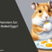 Can Hamsters Eat Hard-Boiled Eggs