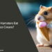 Can Hamsters Eat Ice Cream