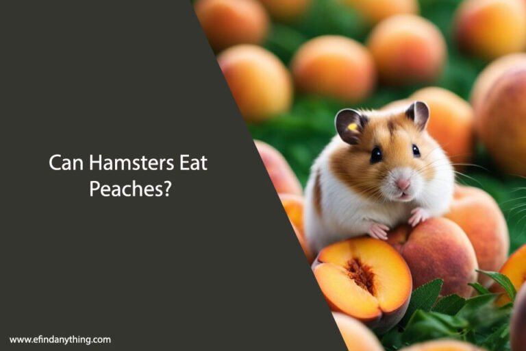 Can Hamsters Eat Peaches