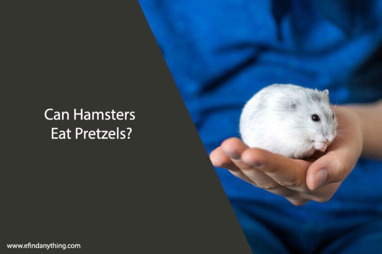 Can Hamsters Eat Pretzels