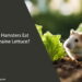 Can Hamsters Eat Romaine Lettuce