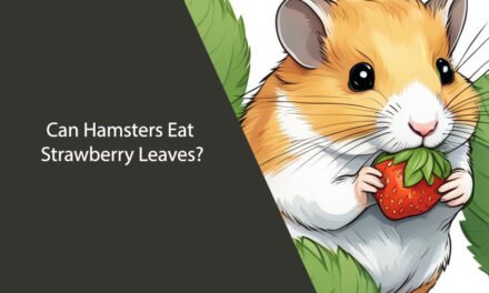 Can Hamsters Eat Strawberry Leaves? A Comprehensive Guide