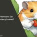 Can Hamsters Eat Strawberry Leaves