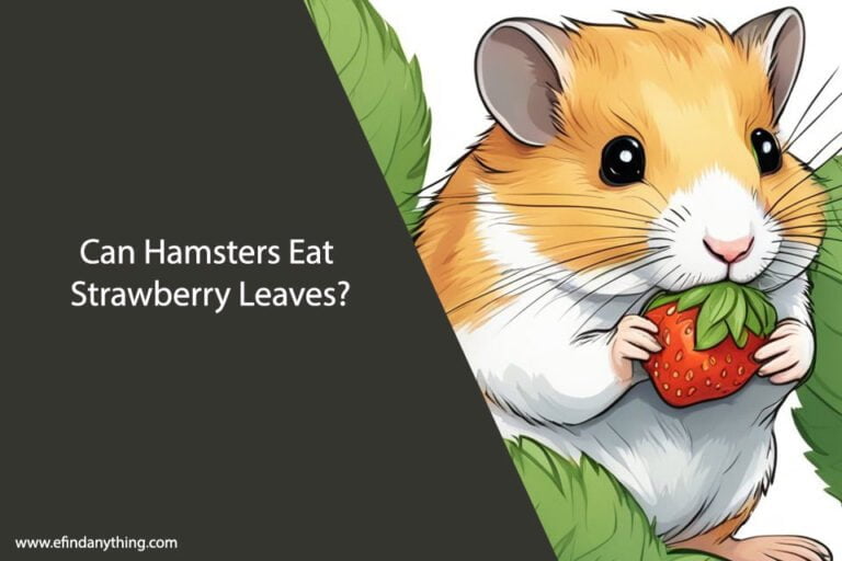 Can Hamsters Eat Strawberry Leaves
