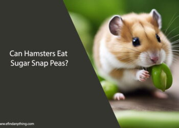 Can Hamsters Eat Sugar Snap Peas