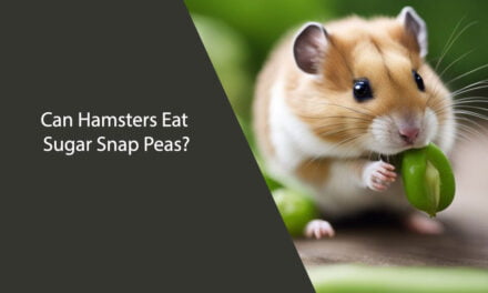 Can Hamsters Eat Sugar Snap Peas?