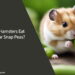 Can Hamsters Eat Sugar Snap Peas