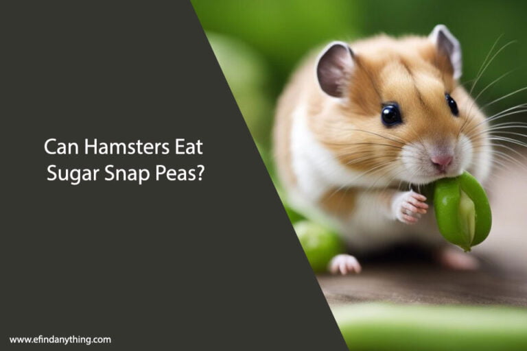 Can Hamsters Eat Sugar Snap Peas