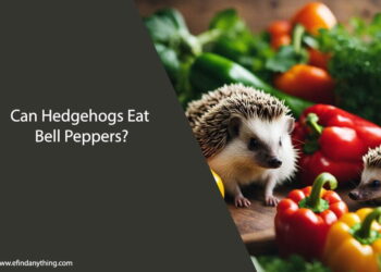 Can Hedgehogs Eat Bell Peppers