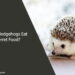 Can Hedgehogs Eat Ferret Food