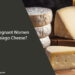 Can Pregnant Women Eat Asiago Cheese