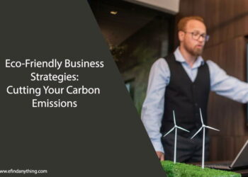 Eco-Friendly Business Strategies
