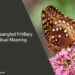 Great Spangled Fritillary Spiritual Meaning