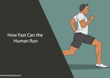 How Fast Can the Human Run