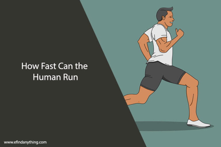 How Fast Can the Human Run