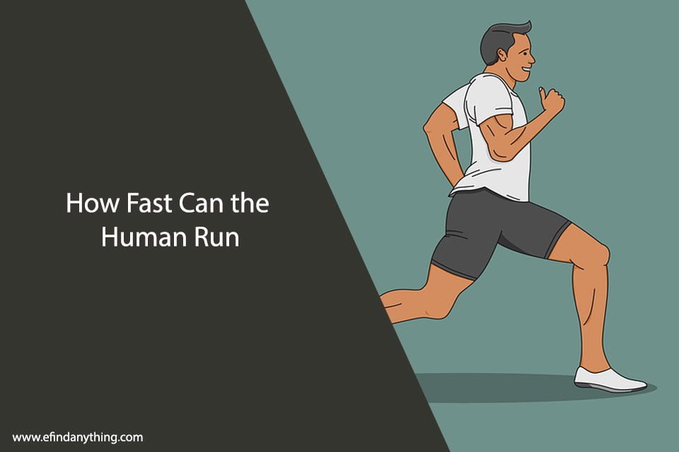 How Fast Can A Human Run, Really?