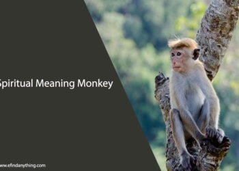 Spiritual Meaning Monkey
