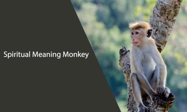 Spiritual Meaning Monkey