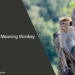 Spiritual Meaning Monkey