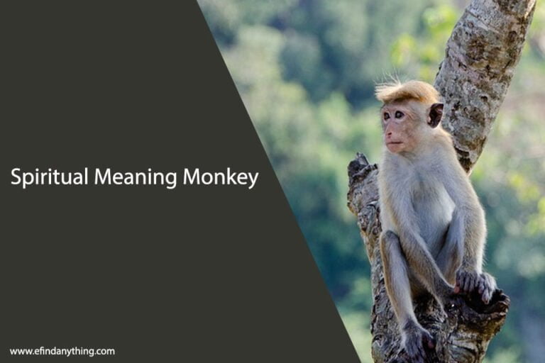 Spiritual Meaning Monkey