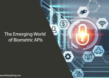 The Emerging World of Biometric APIs