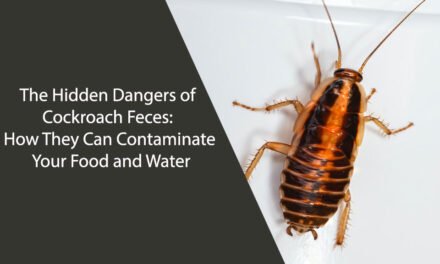 The Hidden Dangers of Cockroach Feces: How They Can Contaminate Your Food and Water