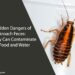 The Hidden Dangers of Cockroach Feces: How They Can Contaminate Your Food and Water