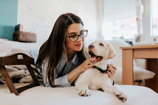 Tips for a Balanced Dog Diet