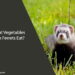 What Vegetables Can Ferrets Eat