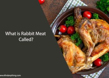 What is Rabbit Meat Called