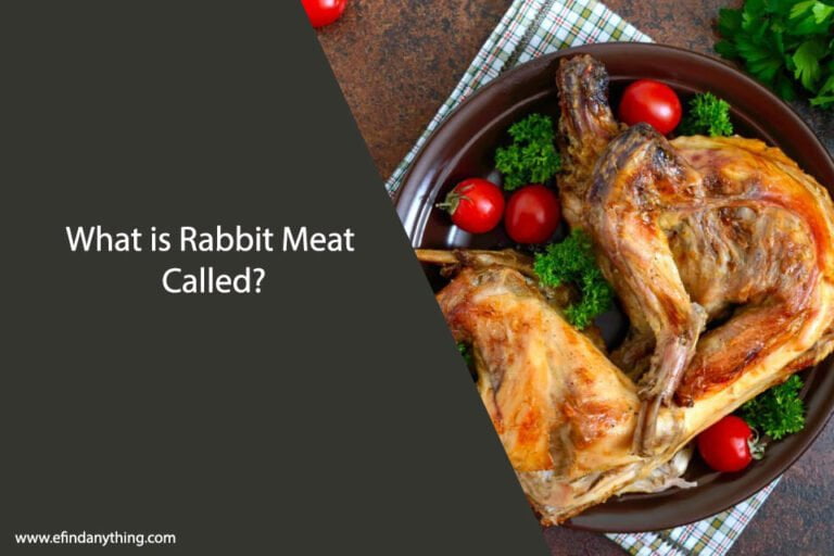 What is Rabbit Meat Called