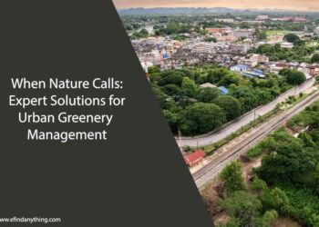 When Nature Calls: Expert Solutions for Urban Greenery Management