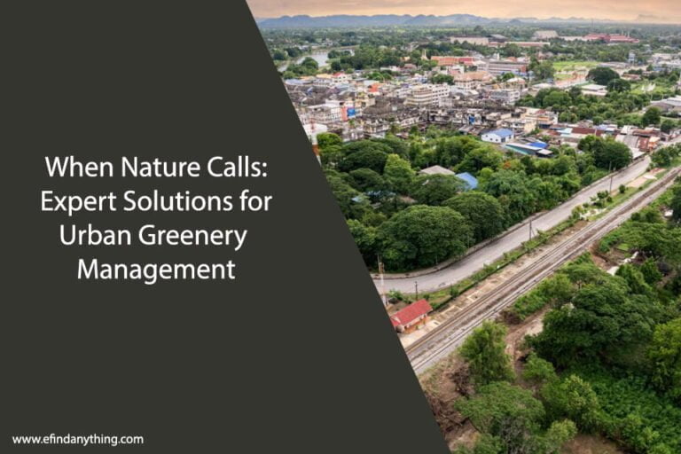 When Nature Calls: Expert Solutions for Urban Greenery Management