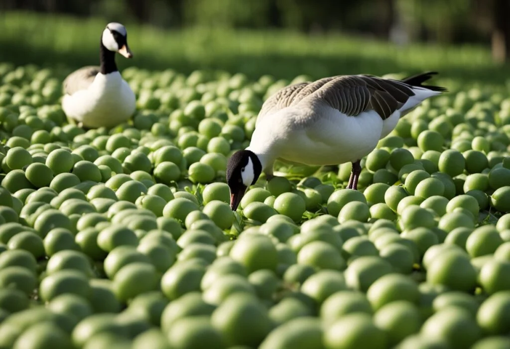 Can Geese Eat Peas