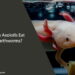Can Axolotls Eat Earthworms