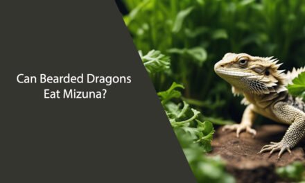 Can Bearded Dragons Eat Mizuna? A Complete Guide