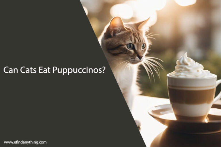 Can Cats Eat Puppuccinos