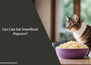 Can Cats Eat Smartfood Popcorn