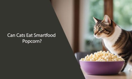 Can Cats Eat Smartfood Popcorn?