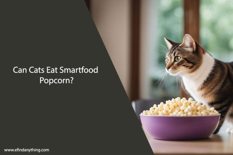 Can Cats Eat Smartfood Popcorn