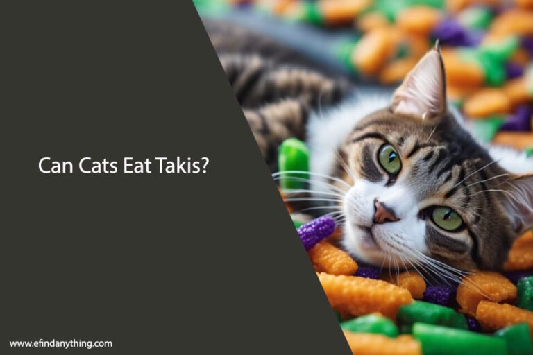 Can Cats Eat Takis