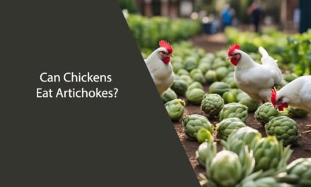 Can Chickens Eat Artichokes?