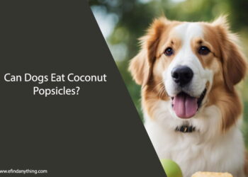 Can Dogs Eat Coconut Popsicles