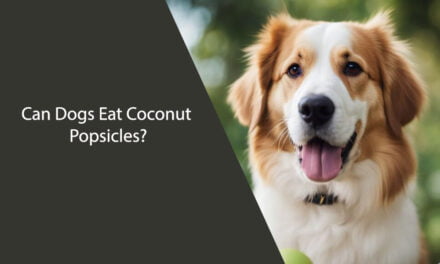 Can Dogs Eat Coconut Popsicles?