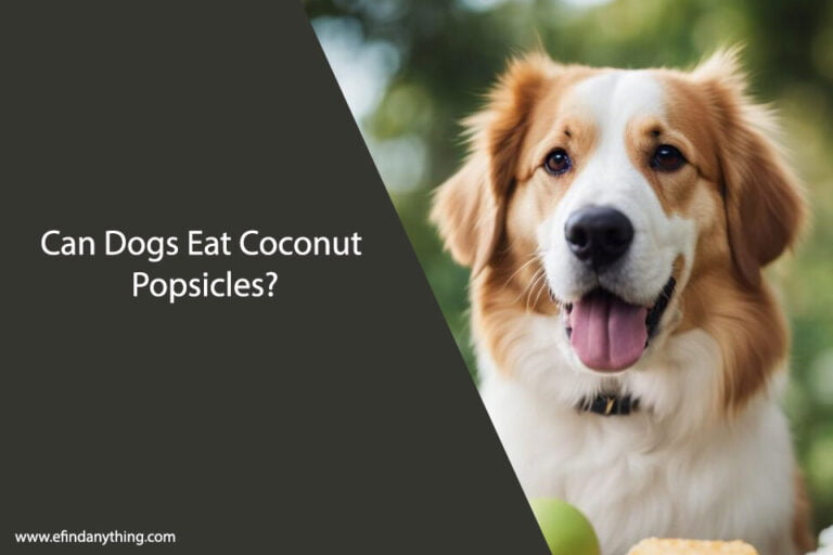 Can Dogs Eat Coconut Popsicles