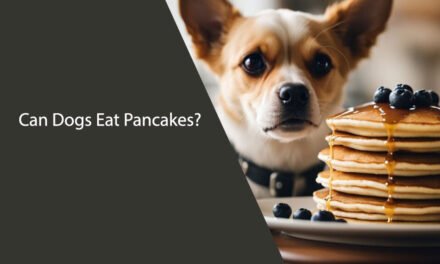 Can Dogs Eat Pancakes?