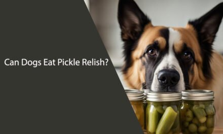 Can Dogs Eat Pickle Relish?