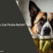 Can Dogs Eat Pickle Relish