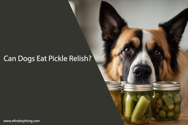Can Dogs Eat Pickle Relish