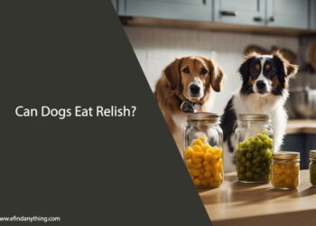 Can Dogs Eat Relish